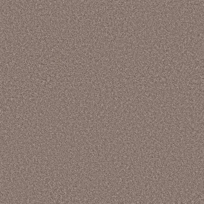 Shaw Floors Best Yet Taupe Dream 00725_5E745