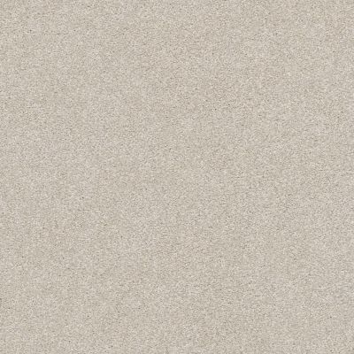 Shaw Floors Your Comfort II Shoreline Haze 0128S_5E747