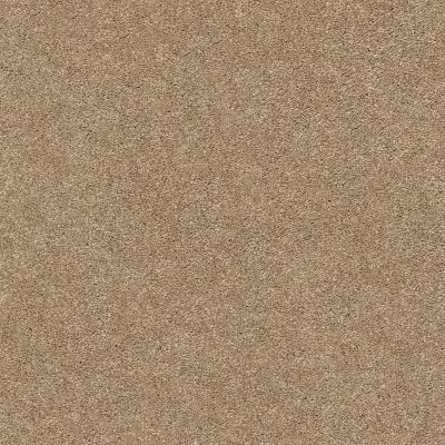 Shaw Floors Your Comfort II Falling Leaves 0720S_5E747