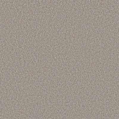 Shaw Floors Best Yet W Terms Sea Salt 00110_5E753