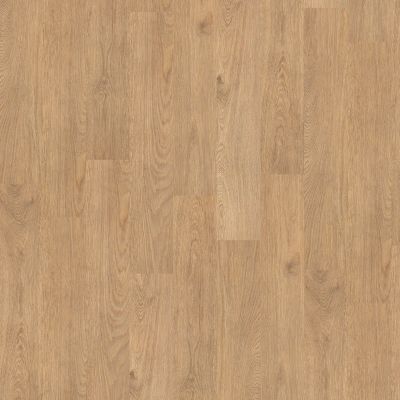 Shaw Floors 5th And Main Thoroughly Mo Elite Technology 00247_5M207