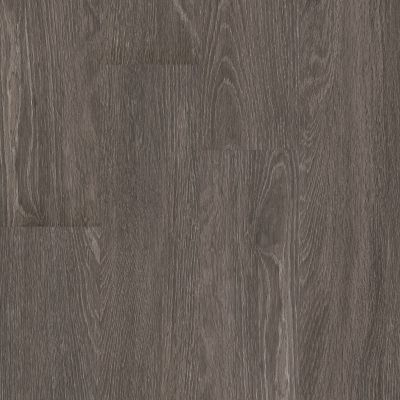 Shaw Floors 5th And Main Symbiotic 12 Carbon 00564_5M302