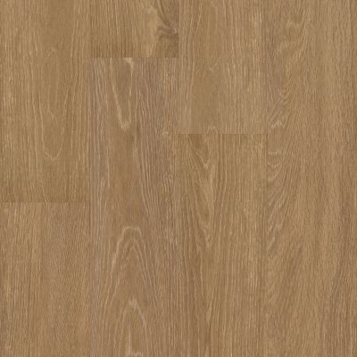 Shaw Floors 5th And Main Symbiotic 5.0 Reed 00256_5M308