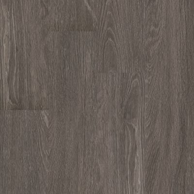 Shaw Floors 5th And Main Symbiotic 5.0 Carbon 00564_5M308