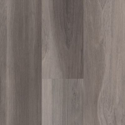Shaw Floors 5th And Main Calibrate Ardeo 05009_5M501