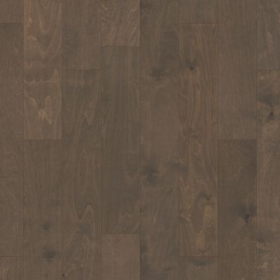 Shaw Floors Carpets Plus Hardwood Destination Terra Trail Windsurf 05034_CH923