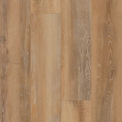 Shaw Floors Resilient Property Solutions Unrivaled 9″ Celo Oak 02908_678CT