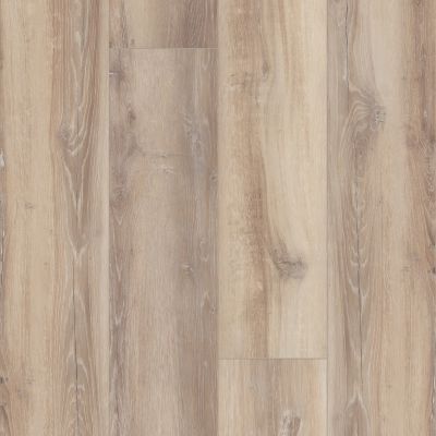 Shaw Floors Resilient Property Solutions Unrivaled 9″ Watford Oak 02909_678CT