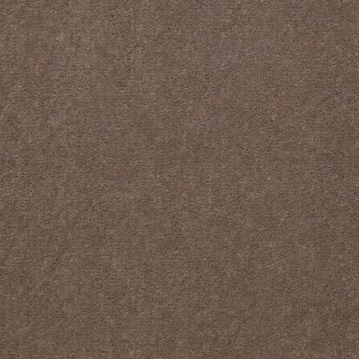 Philadelphia Commercial Mercury Carpets Fusion-36 Top Taupe 00007_6983D