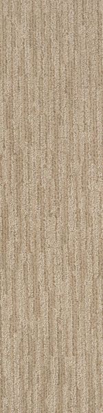 Shaw Floors Dynamic Vision Spice Cookie 00101_6E001