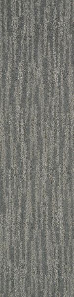 Shaw Floors Dynamic Vision Ground Fog 00500_6E001