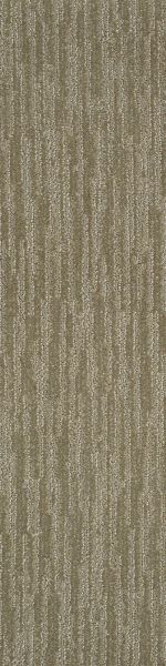 Shaw Floors Dynamic Vision Menswear 00700_6E001