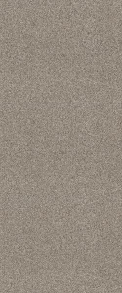 Shaw Floors Carpet Diem Cozy Taupe 00102_6E009
