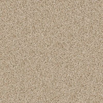 Floorigami Carpet Diem Flooragami Canvas 6E009-00103