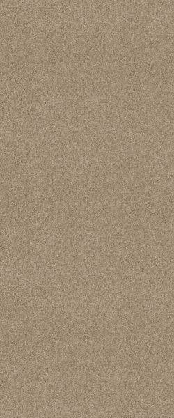 Shaw Floors Carpet Diem Canvas 00103_6E009