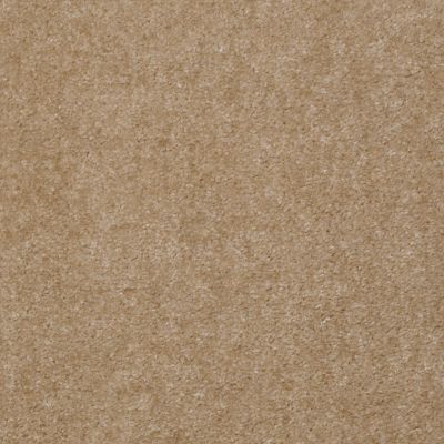Shaw Floors Mercury Carpets Bahama Boardwalk 00012_7123D