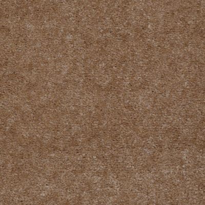 Shaw Floors Mercury Carpets Bahama Tudor Brown 00015_7123D