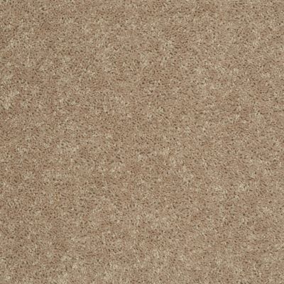 Shaw Floors Frenzy 15 Soapstone 00107_727Z9