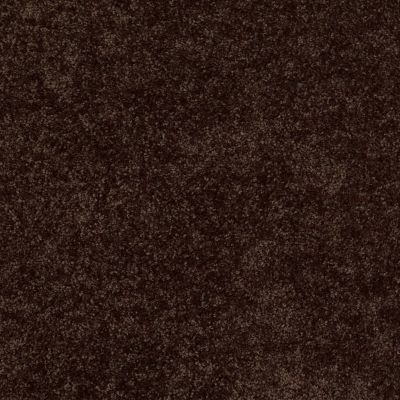 Shaw Floors Frenzy 15 Walnut 00705_727Z9