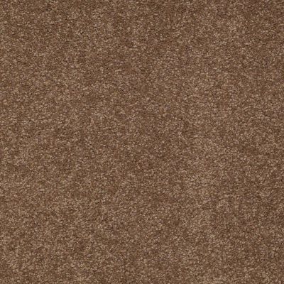 Shaw Floors Social Affair II 12 Pine Cone 00703_729G2
