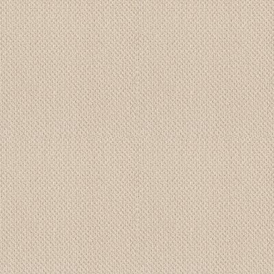 Shaw Floors Circle Of Friends Ivory Lace 00110_729H2