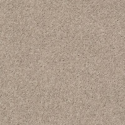 Shaw Floors Target 12′ Bare Mineral 00105_729H5