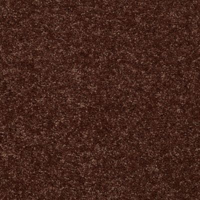 Shaw Floors Target 12′ Flower Pot 00610_729H5