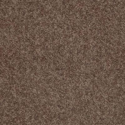 Shaw Floors Target 12′ Cattail 00702_729H5