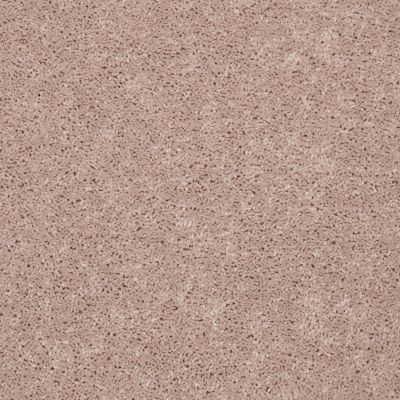 Shaw Floors Property Essentials Forest City II 12 Flax Seed 00103_732F5