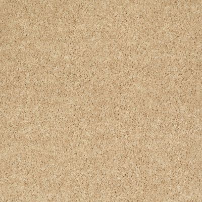 Shaw Floors Property Essentials Forest City II 12 Crumpet 00203_732F5
