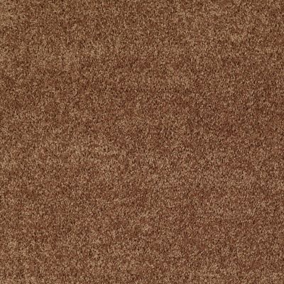 Shaw Floors Property Essentials Forest City II 12 Desert Sunrise 00721_732F5