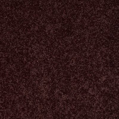 Shaw Floors Property Essentials Forest City II 12 Royal Purple 00902_732F5