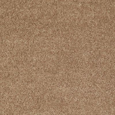 Shaw Floors Property Essentials Forest City II 15 Golden Echoes 00202_732F6