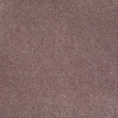 Shaw Floors Pelotage I Portland 00902_746A5