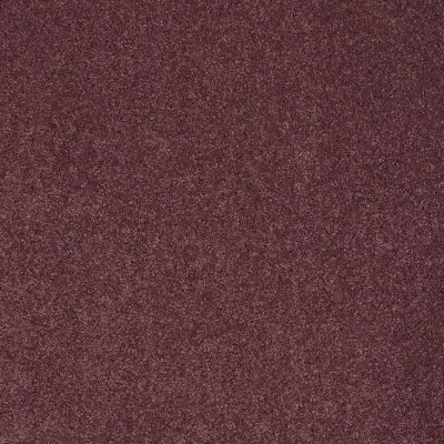 Shaw Floors Pelotage I Andean Valley 00903_746A5