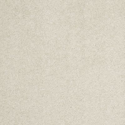 Shaw Floors Pelotage II Cheviot 00104_746A6