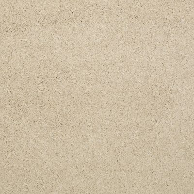 Shaw Floors Pelotage Iv Yearling 00107_746A8