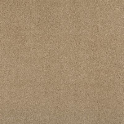 Shaw Floors Exalted Beauty III Taffeta 00107_748Z5