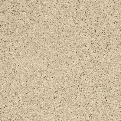 Shaw Floors Exalted Beauty III Parchment 00125_748Z5