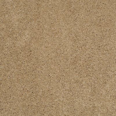 Shaw Floors Exalted Beauty III Cologne Mist 00128_748Z5