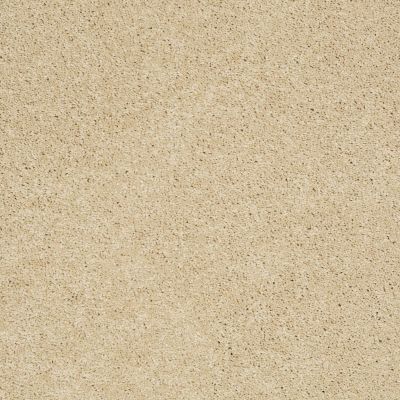 Shaw Floors Ultratouch Anso Exalted Beauty III Chamois 00220_748Z5