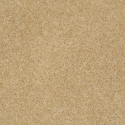 Shaw Floors Ultratouch Anso Exalted Beauty III Solar 00221_748Z5