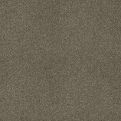 Shaw Floors Exalted Beauty III Grey Flannel 00501_748Z5