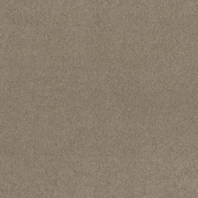Shaw Floors Ultratouch Anso Exalted Beauty III Smooth Slate 00704_748Z5