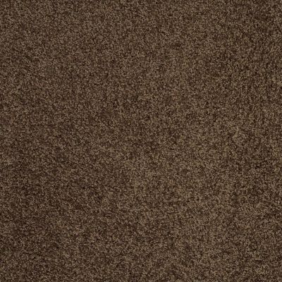 Shaw Floors Ultratouch Anso Exalted Beauty III Coffee Bean 00705_748Z5