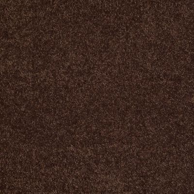 Shaw Floors Ultratouch Anso Exalted Beauty III Apple Butter 00728_748Z5
