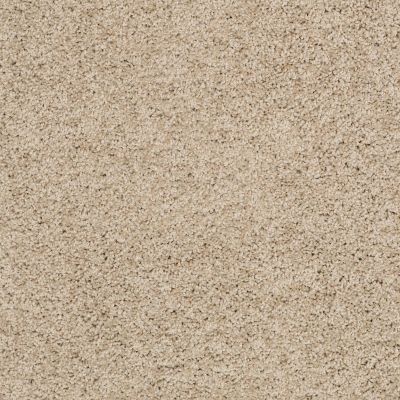Shaw Floors Ultratouch Anso Exalted Beauty II Clay Stone 00108_748Z6