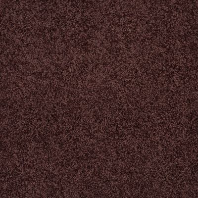 Shaw Floors Ultratouch Anso Exalted Beauty II Plum Delight 00902_748Z6