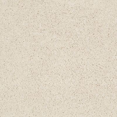 Shaw Floors Ultratouch Anso Exalted Beauty I China Pearl 00100_748Z7