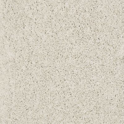 Shaw Floors Ultratouch Anso Exalted Beauty I Polar 00104_748Z7